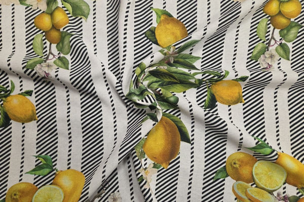 Zesty Stripes - Linen/Rayon
