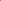 Dotted Stripe Rose